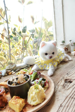 Load image into Gallery viewer, Bow Print Ribbon Dress