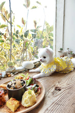 Load image into Gallery viewer, Bow Print Ribbon Dress