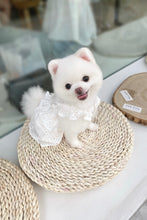 Load image into Gallery viewer, Broderie Ruffle Trim Dress