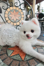 Load image into Gallery viewer, Sequin Tulle Gown