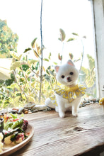 Load image into Gallery viewer, Bow Print Ribbon Dress