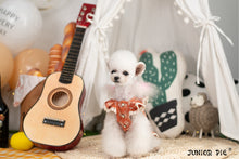 Load image into Gallery viewer, Broderie Trim Dress