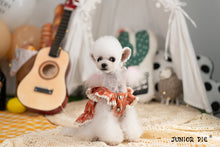 Load image into Gallery viewer, Broderie Trim Dress