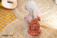 Load image into Gallery viewer, Broderie Trim Dress