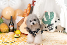 Load image into Gallery viewer, Broderie Trim Dress