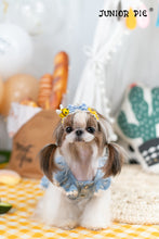 Load image into Gallery viewer, Broderie Trim Dress