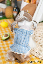 Load image into Gallery viewer, Broderie Trim Dress