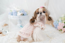 Load image into Gallery viewer, Floral Lace Trim Dress