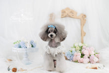 Load image into Gallery viewer, Floral Lace Trim Dress