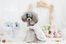 Load image into Gallery viewer, Floral Lace Trim Dress