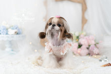 Load image into Gallery viewer, Floral Lace Trim Dress