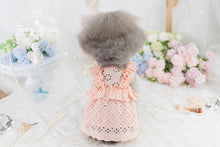 Load image into Gallery viewer, Broderie Ruffle Trim Dress