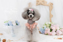 Load image into Gallery viewer, Broderie Ruffle Trim Dress