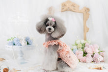 Load image into Gallery viewer, Broderie Ruffle Trim Dress