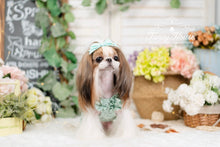 Load image into Gallery viewer, Broderie Ruffle Trim Dress