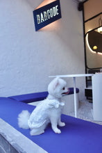 Load image into Gallery viewer, Floral Lace Trim Dress