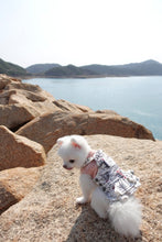 Load image into Gallery viewer, Map Print Pinafore Dress / Jumpsuit