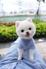 Load image into Gallery viewer, Pique Short Sleeves T-shirt