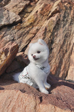 Load image into Gallery viewer, Map Print Pinafore Dress / Jumpsuit