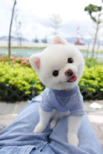 Load image into Gallery viewer, Pique Short Sleeves T-shirt