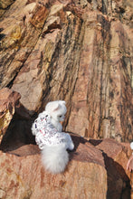 Load image into Gallery viewer, Map Print Pinafore Dress / Jumpsuit