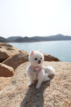 Load image into Gallery viewer, Map Print Pinafore Dress / Jumpsuit