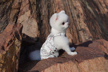 Load image into Gallery viewer, Map Print Pinafore Dress / Jumpsuit